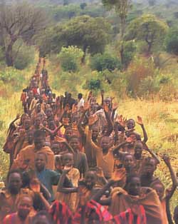 Essays on genocide in sudan