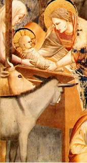 Fresco of the Christ Child, c. 1300, by Giotto.