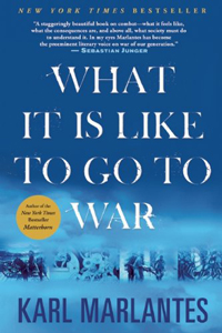 Karl Marlantes, What It Is Like To Go To War (New York: Grove Press, 2011), 256pp.