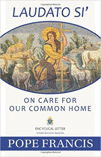 Pope Francis, Laudato Si': On Care for Our Common Home (Huntington, IN: Our Sunday Visitor Publishing Division, 2015), 176pp.