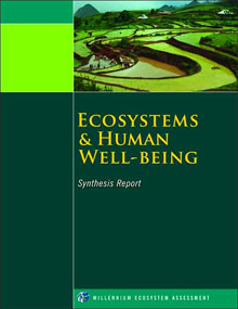 Ecosystems and Human Well-Being: Synthesis. A Report of the Millennium Ecosystem Assessment - 