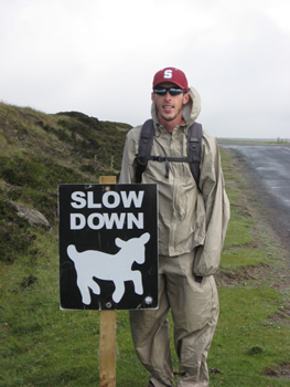 Road sign "Slow Down" with lamb silhouette.