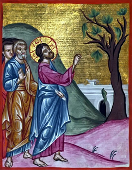 Jesus And The Fig Tree sm