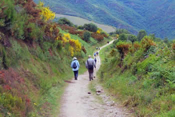 Pilgrims on the Way of St. James.