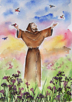 St Francis Of Assisi Regina Ammerman sm