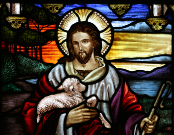 Good Shepherd portrait, stained glass, St Johns Ashfield. 