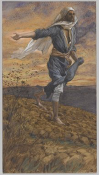 The Sower.