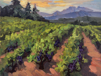 Vineyard At Dentelles by Diane McClary.