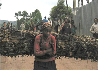 Ethiopian girl collecting wood