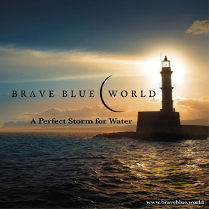 Brave Blue World (2019)