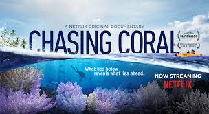 Chasing Coral (2017)