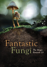 Fantastic Fungi (2019).