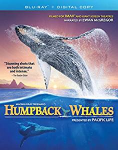 Humpback Whales (2015)