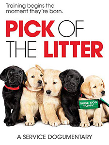 Pick of the Litter (2018)