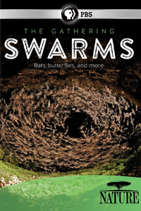 The Gathering of Swarms (2014)