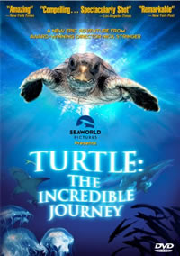 Turtle: The Incredible Journey (2011)
