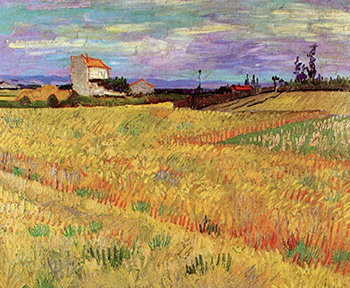 Vincent Van Gogh, Wheatfield, Arles Bouches du Rhone (1888).